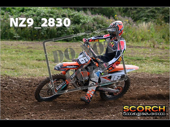 Experts-049