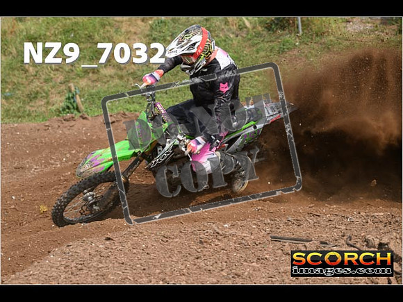 Experts-428