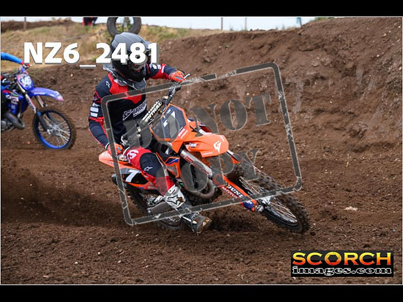 Experts-061