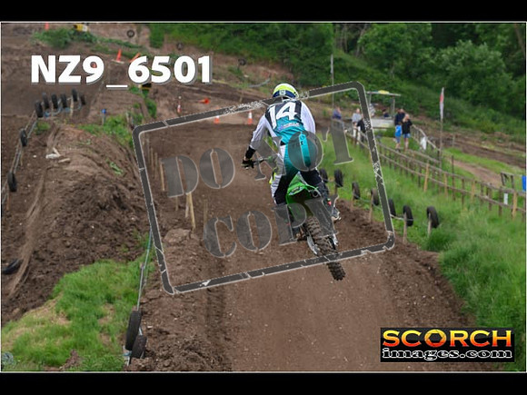 Experts-309