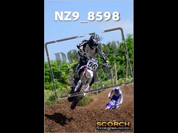 IntersGreenOrange-264