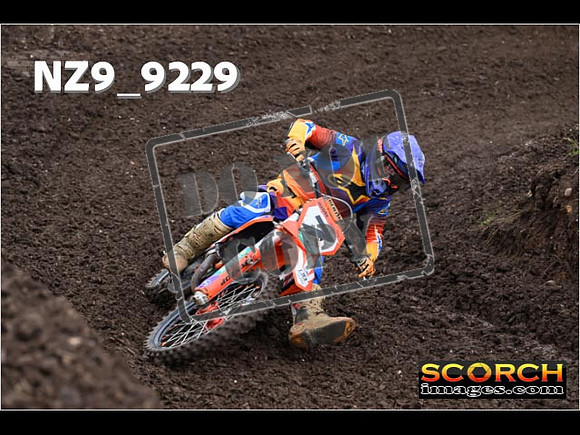 Experts-038