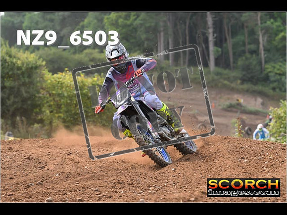 Experts-212