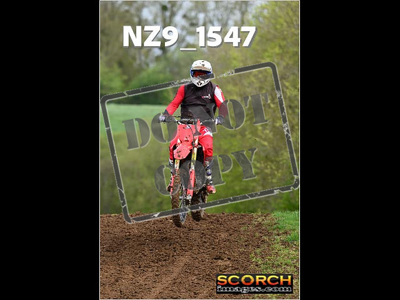 Novice-113