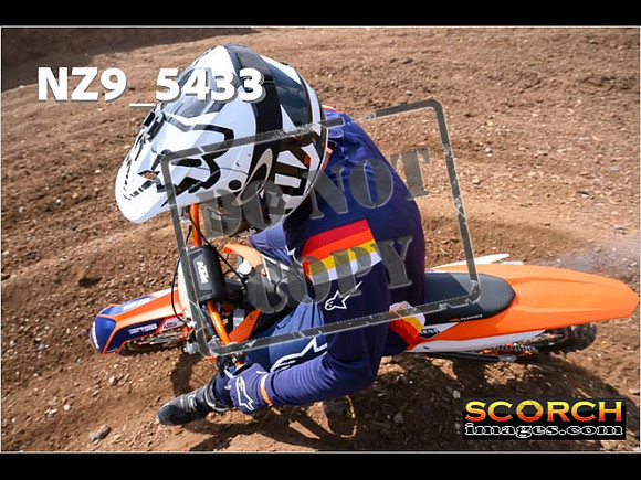 InterGreenOrange-284