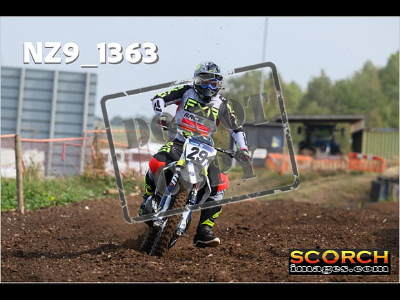 Experts-069