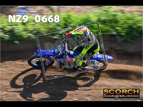 Experts-075