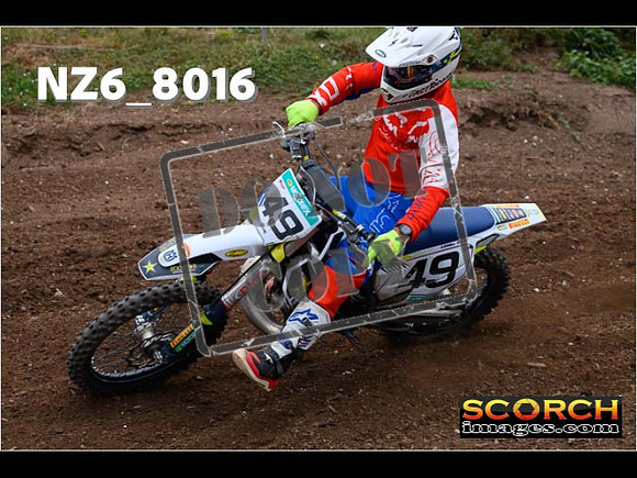 Experts-202