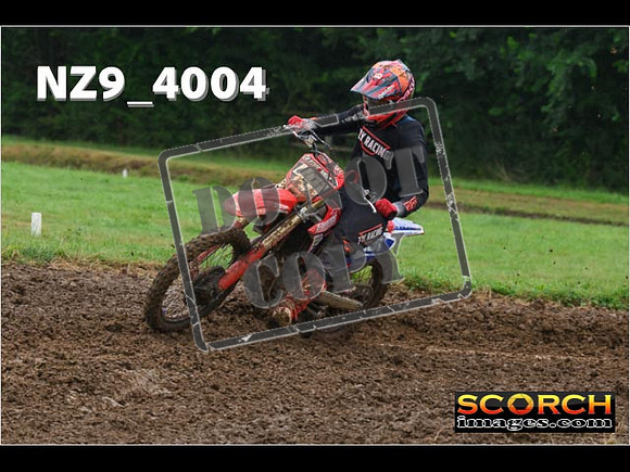 Experts-079