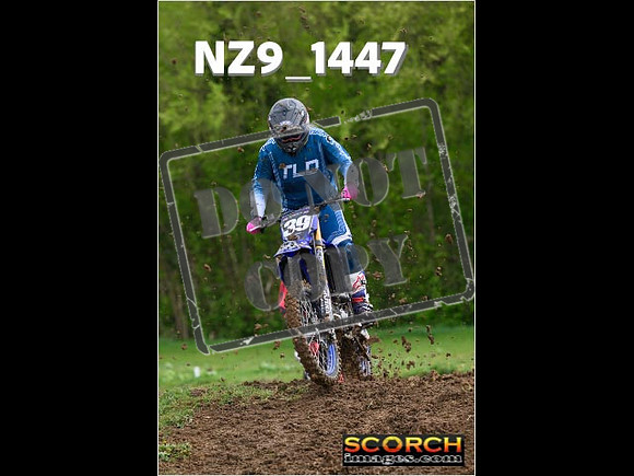 Novice-017