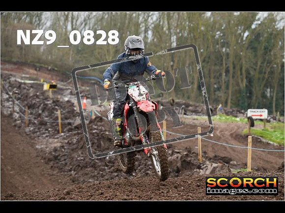 IntersGreenOrange-120