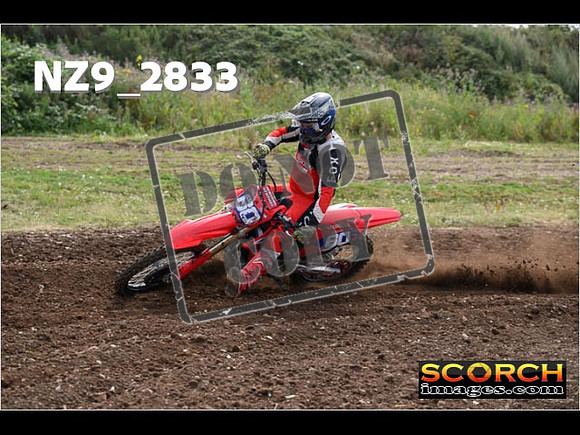 Experts-052