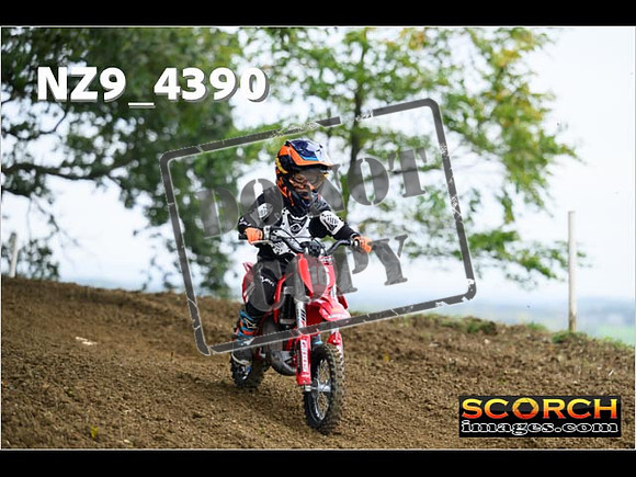 Auto 65's-054