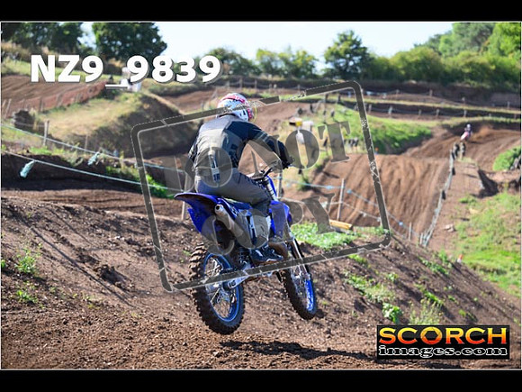Experts-051
