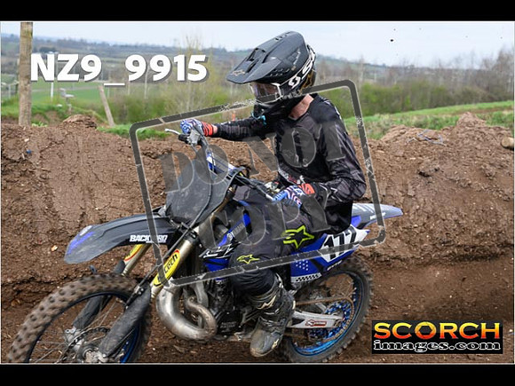 Experts-131