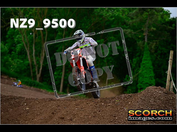 Experts-099