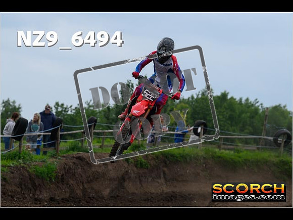Experts-302