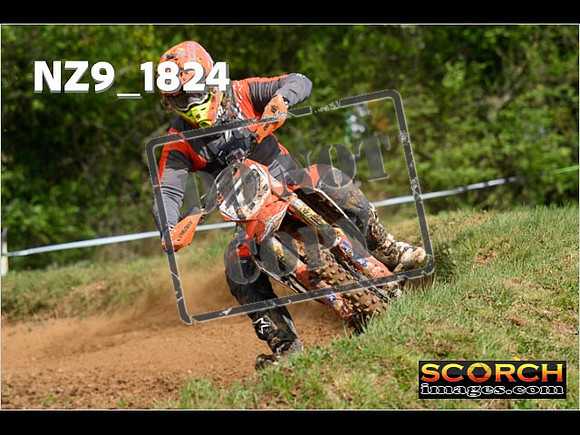 Novice-134