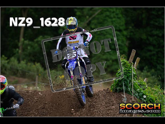 IntersBlue-026