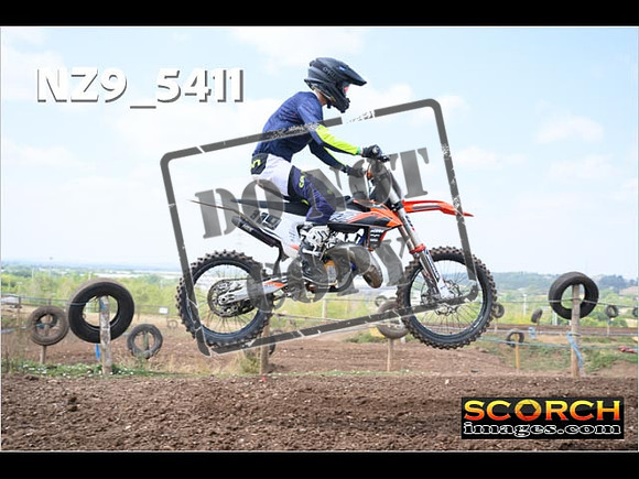 InterGreenOrange-263