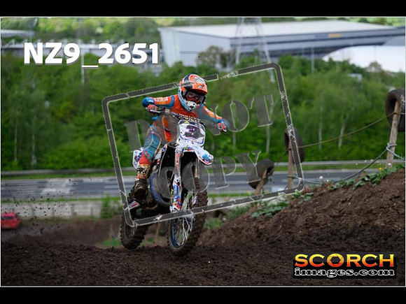 Experts-115