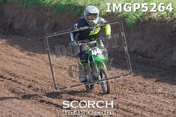 IMGP5264