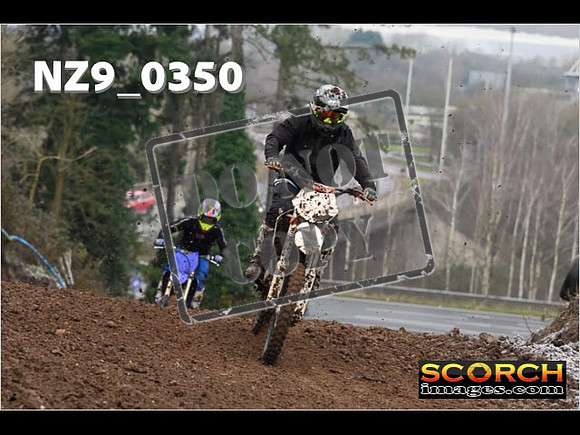 IntersGreenOrange-065