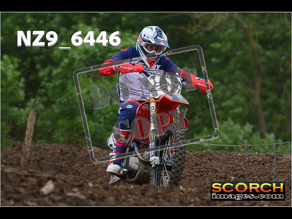 Experts-258