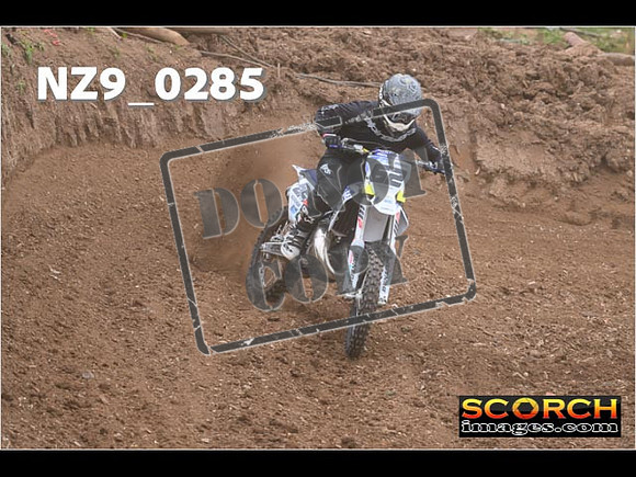Experts-008