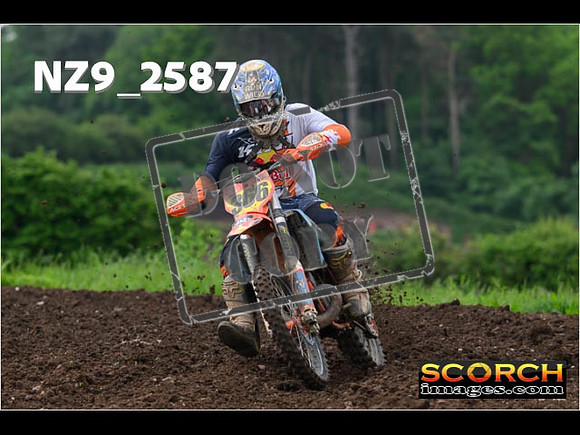 Experts-035