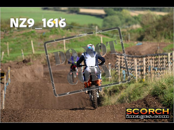 Experts-297