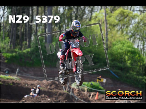 Experts-084