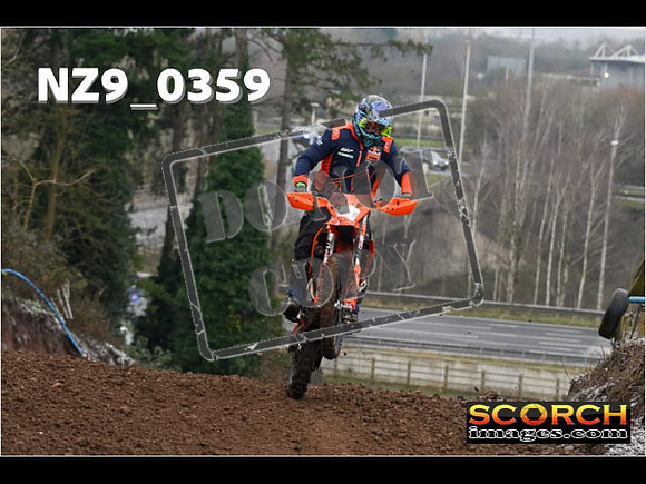 IntersGreenOrange-073