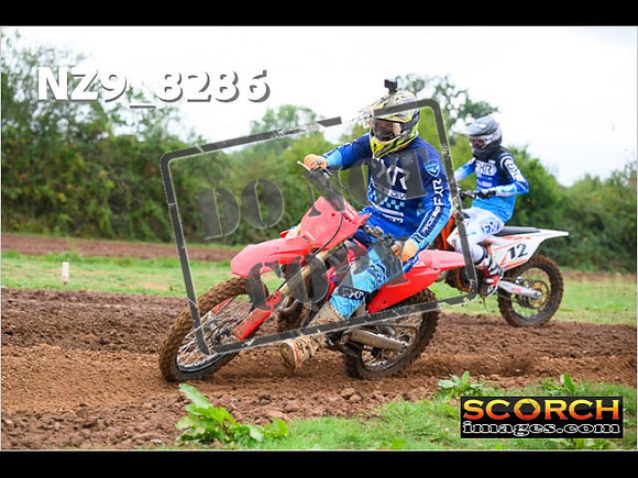 Novice-102