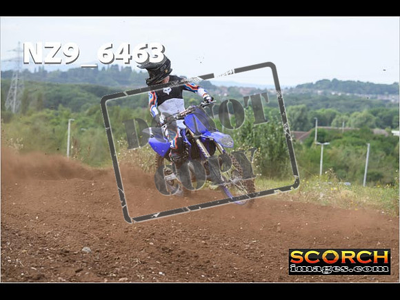 Experts-177