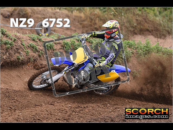 Experts-044