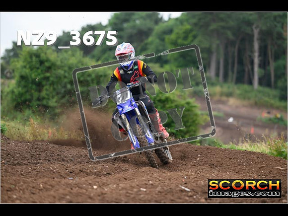 Experts-083
