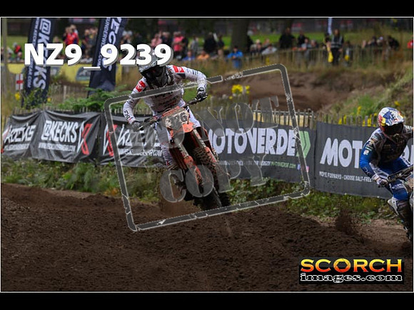 MX1-193