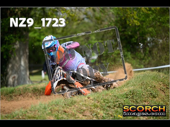 Experts-062