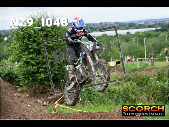 IntersGreen-063