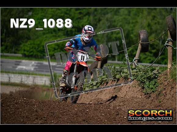 Experts-164