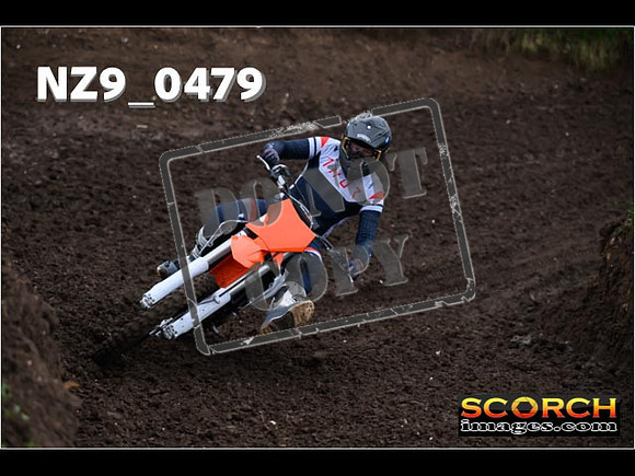 Experts-035