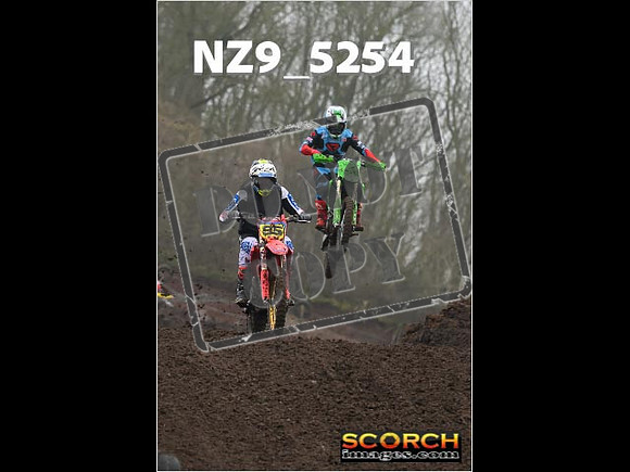 Experts-113