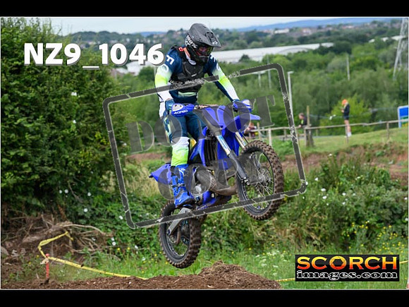 IntersGreen-061
