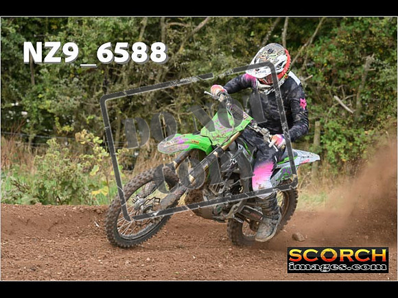 Experts-294