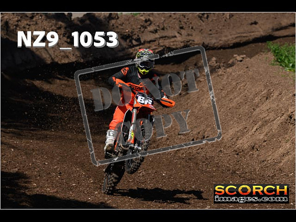 Experts-131