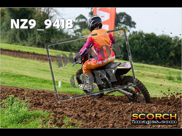 Experts-085