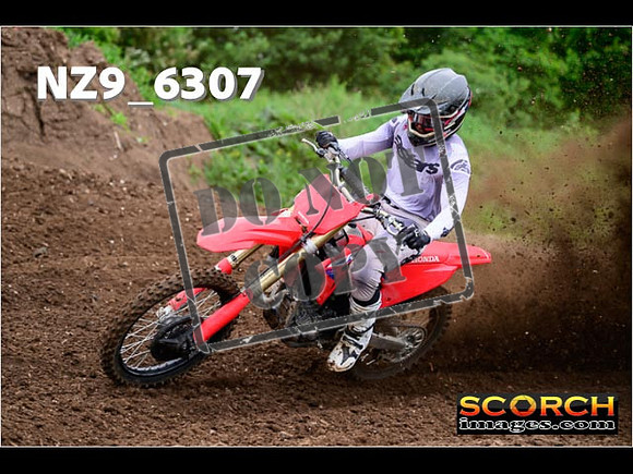 Experts-061