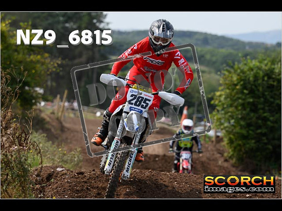 Inters Green-157