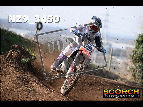 Experts-133
